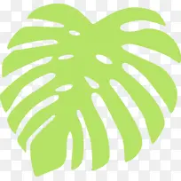 �ȴ�Ҷ ˮ�ʻ� ����-������