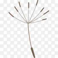 �ѹ�Ӣ �Ƕ� ��-������