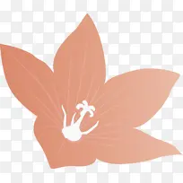 ���� �� ����-������