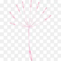 蒲公英 米 线-空若网 蒲公英 米 线-空若网