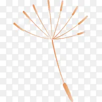 蒲公英 线 米-空若网 蒲公英 线 米-空若网