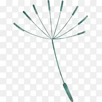 蒲公英 角度 线条-空若网 蒲公英 角度 线条-空若网