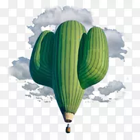 地球互联网艺术阿迪达斯Yeezy nike美学-水彩画仙人掌-空若网 地球互联网艺术阿迪达斯Yeezy nike美学-水彩画仙人掌-空若网