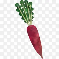 Âܲ· Êß²Ë Ò¶-¿ÕÈôÍø Âܲ· Êß²Ë Ò¶-¿ÕÈôÍø