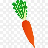 萝卜 蔬菜 素食菜肴-空若网 萝卜 蔬菜 素食菜肴-空若网