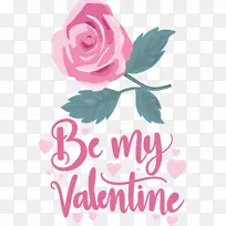 ���˽� ���� �������-������