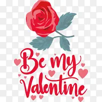 ���˽� ���� �������-������