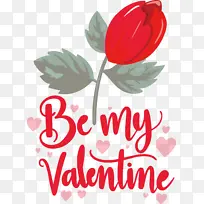 ���˽� ���� �������-������