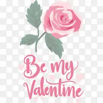 ���˽� ���� �������-������