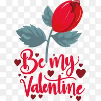 ���˽� ���� �������-������