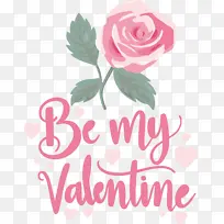 ���˽� ���� �������-������