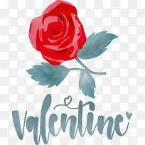 ���˽� ���� ˮ��-������