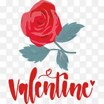 ���˽� ���� �������-������