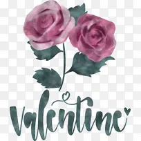 ���˽� ���� �������-������