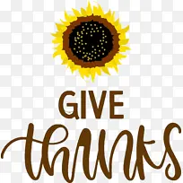 �ж��� �ж� ˮ�ʻ�-������