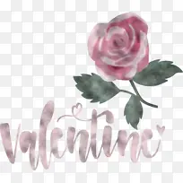 情人节 爱情 花园玫瑰-空若网 情人节 爱情 花园玫瑰-空若网