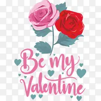 ���˽� ���� �������-������