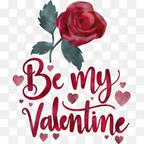 ���˽� ���� �������-������