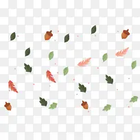 昆虫 传粉者 花瓣-空若网 昆虫 传粉者 花瓣-空若网