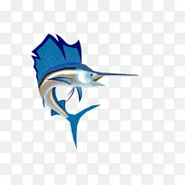 ����ѧ ���� ��ѧ-������