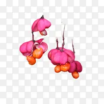 �߲� ˮ��-������