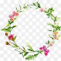 水彩画草本摄影.花圈-空若网 水彩画草本摄影.花圈-空若网