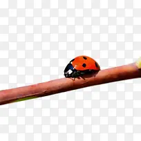 水彩 油漆 湿墨水-空若网 水彩 油漆 湿墨水-空若网