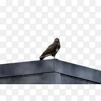 ˮ�ʻ� ���� ʪīˮ-������