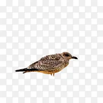 ���� � ��-������