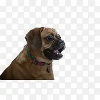 ��ţ�� ���� ����Ȧ-������