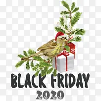 ºÚÉ«ÐÇÆÚÎå ¹ºÎï Ê¥µ®½Ú-¿ÕÈôÍø ºÚÉ«ÐÇÆÚÎå ¹ºÎï Ê¥µ®½Ú-¿ÕÈôÍø