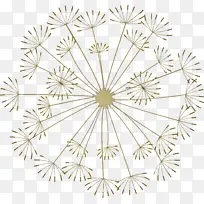 蒲公英 对称 线条艺术-空若网 蒲公英 对称 线条艺术-空若网
