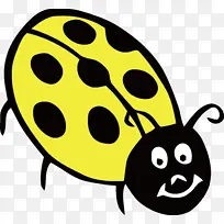 瓢虫 昆虫 笑脸-空若网 瓢虫 昆虫 笑脸-空若网