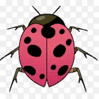 �׳� ��Ů�� ����-������