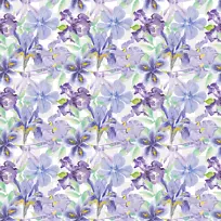 对称 花卉设计 线条-空若网 对称 花卉设计 线条-空若网