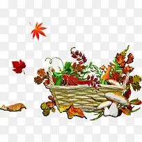 感恩节 收获 花卉设计-空若网 感恩节 收获 花卉设计-空若网