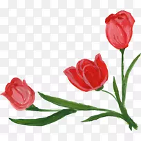 切花、郁金香、花蕾、玫瑰花-花角-空若网 切花、郁金香、花蕾、玫瑰花-花角-空若网