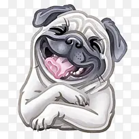 哈巴狗 鼻子 早恋-空若网 哈巴狗 鼻子 早恋-空若网