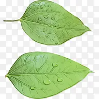 ˮ�ʻ� ���� ʪī-������