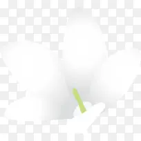 茉莉花 植物 计算机-空若网 茉莉花 植物 计算机-空若网