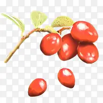 水果 食品 植物-空若网 水果 食品 植物-空若网