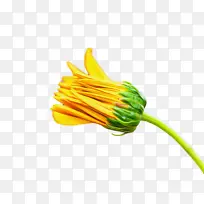 �߲� ��ɫ ��-������