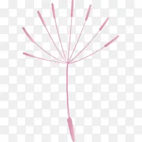 �ѹ�Ӣ �� ��-������