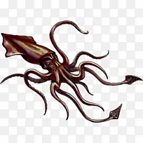 ���� ����ѧ ��ѧ-������