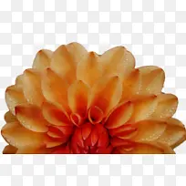 ˮ�� ���� ʪī-������