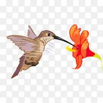 ���� ���� �-������