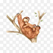 ¹�� ��ѧ ����ѧ-������