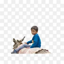 �� ���� ����ѧ-������