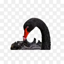 ��� ���� ˮ��-������