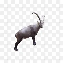 ɽ�� �� ½��ֲ��-������